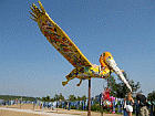 pelican